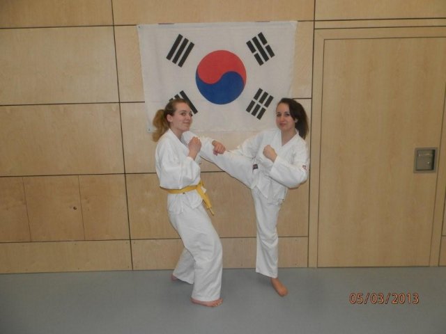 Taekwondo Training